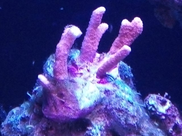 IMG 20140831 164243 (Small)