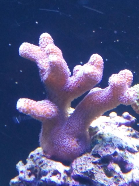 IMG 20141028 151441 (Small)