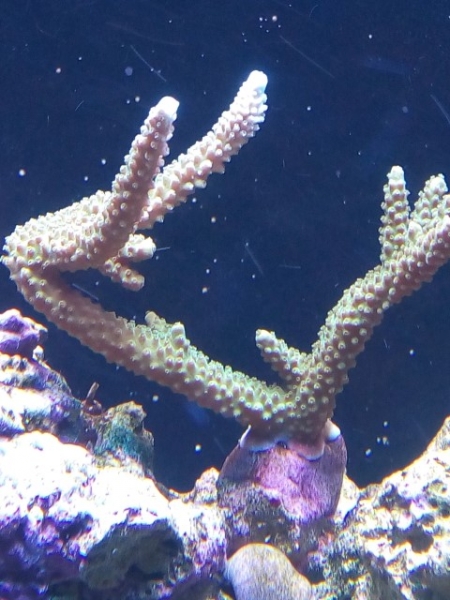 IMG 20141028 151532 (Small)