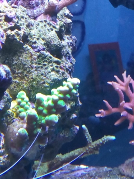 IMG 20141028 151618 (Small)