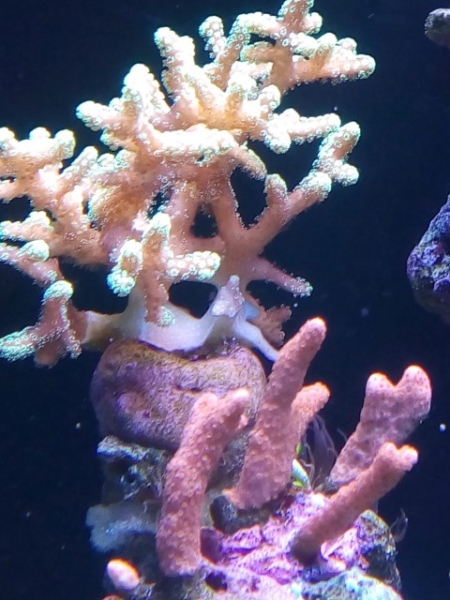 IMG 20141028 151641 (Small)