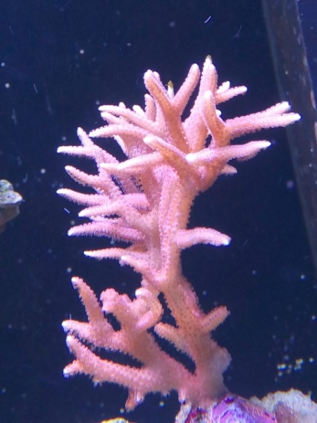 IMG 20141028 151722 (Small)