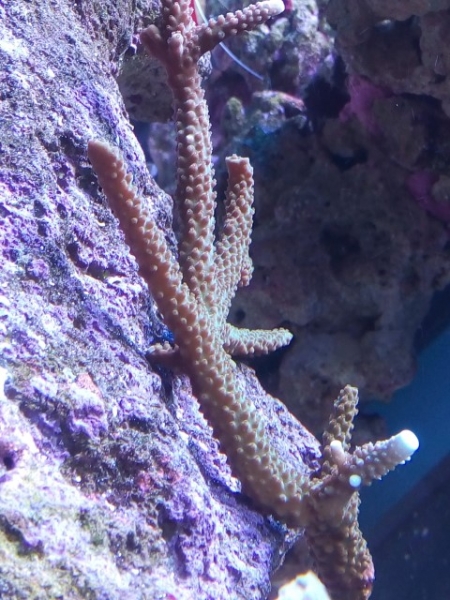 IMG 20141028 151802 (Small)