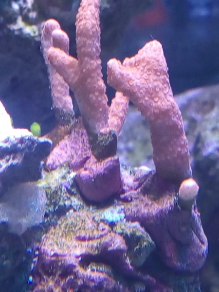 IMG 20141029 094745 (Small)