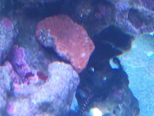 IMG 20141029 094842 (Small)