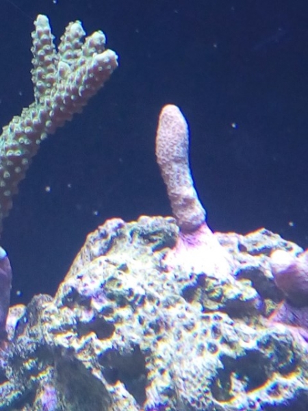 IMG 20141029 095014 (Small)