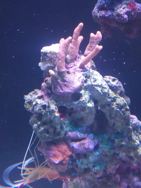 IMG 20141029 095117 (Small)