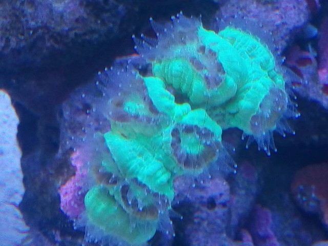 IMG 20141029 094651 (Small)