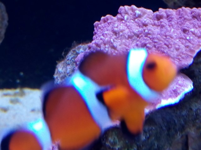 IMG 20140826 193006 (Small)