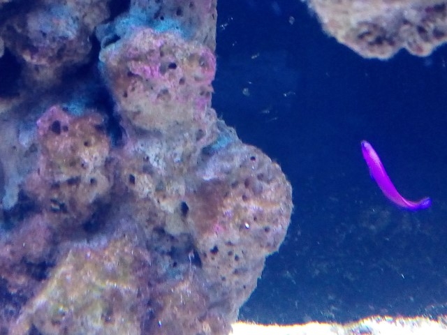 IMG 20140826 192939 (Small)