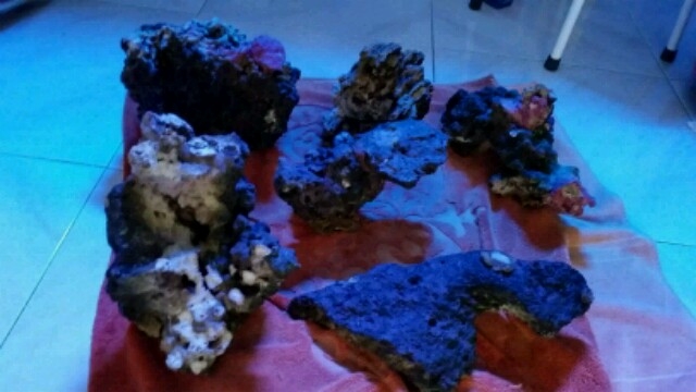 2014-11-04 21.30.45-640x360