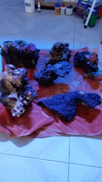 20141104 161727 (Small)