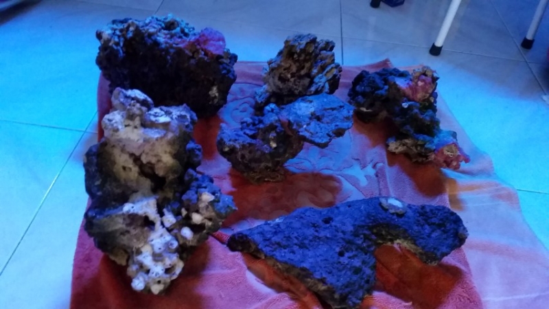 20141104 161754 (Small)