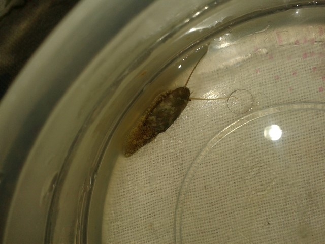 20150106 132813 (Small)