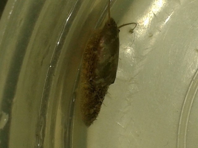 20150106 132933 (Small)