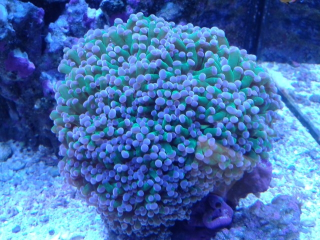 20150409 185017 (Small)