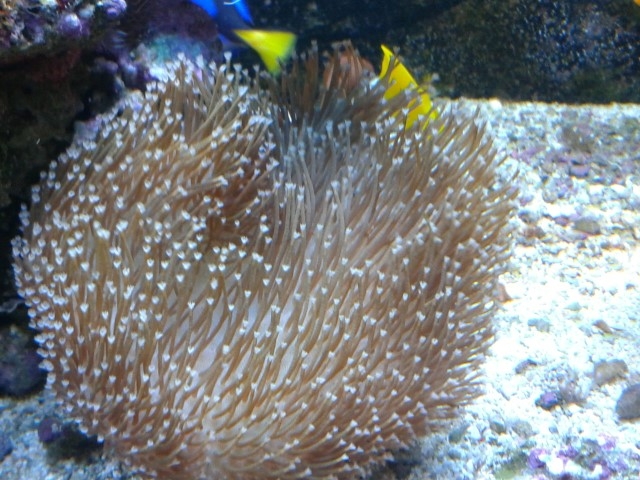 20150409 185135 (Small)