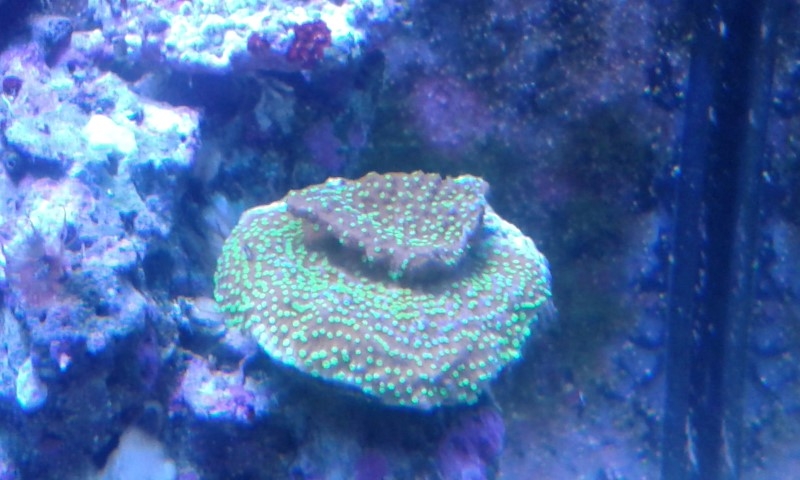 20150325 233638 (Small)