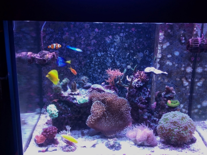 IMG 20150706 213853 (Large)