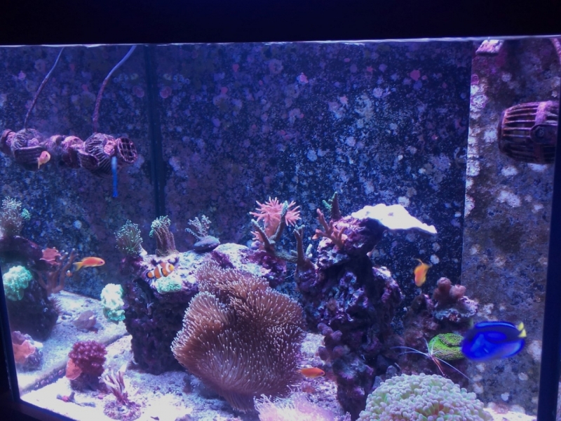 IMG 20150706 213859 (Large)