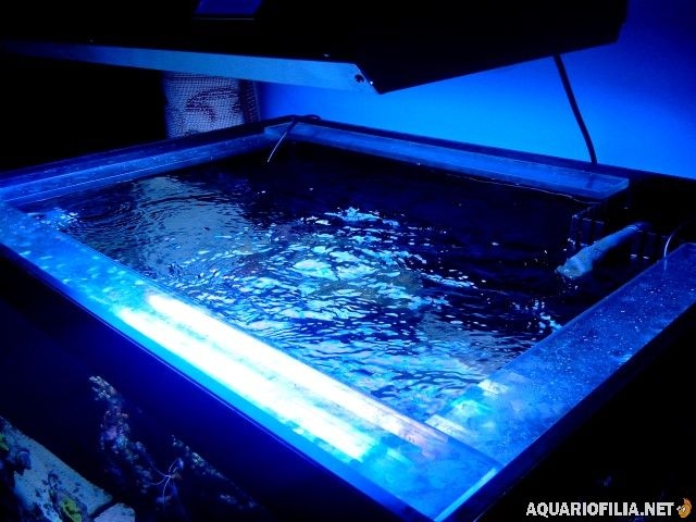 gallery 6271 4310 18280