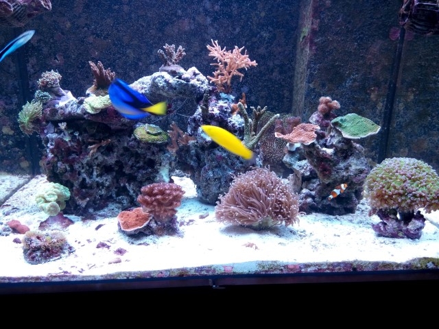 IMG 20150814 213213 (Small)