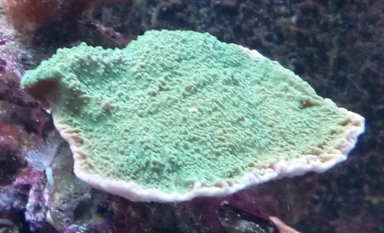 IMG 20150829 201218 (Small)