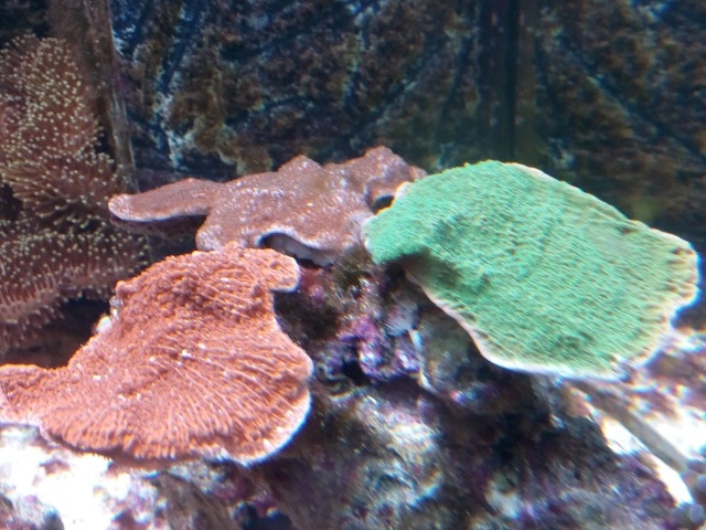 IMG 20150831 201000 (Small)