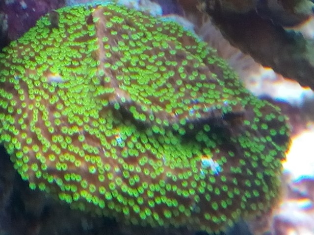 IMG 20150831 201057 (Small)