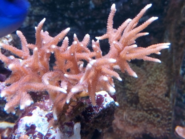 IMG 20150831 201117 (Small)