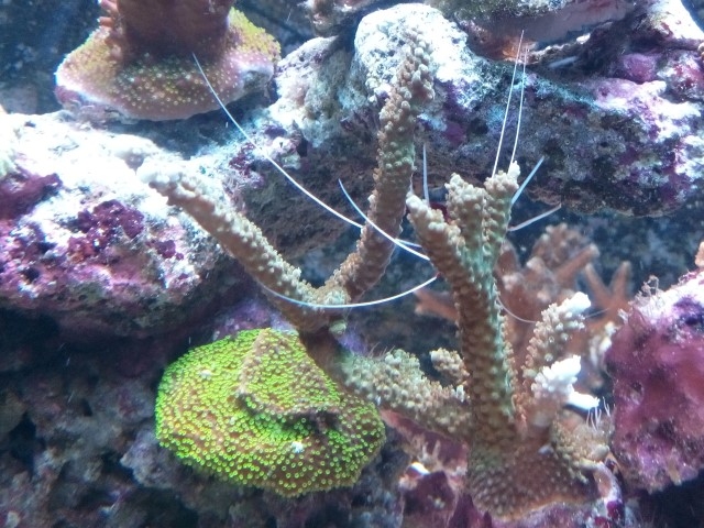 IMG 20150831 201259 (Small)