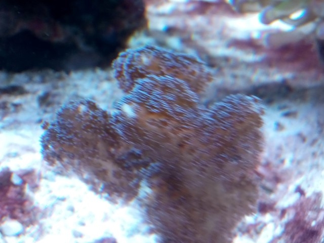 IMG 20150831 201405 (Small)