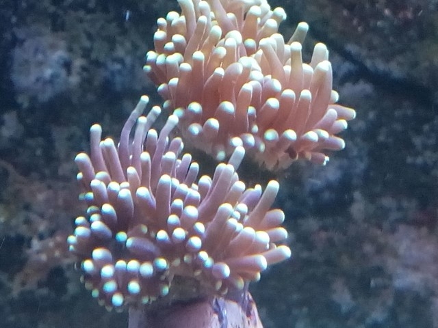 IMG 20150831 201621 (Small)