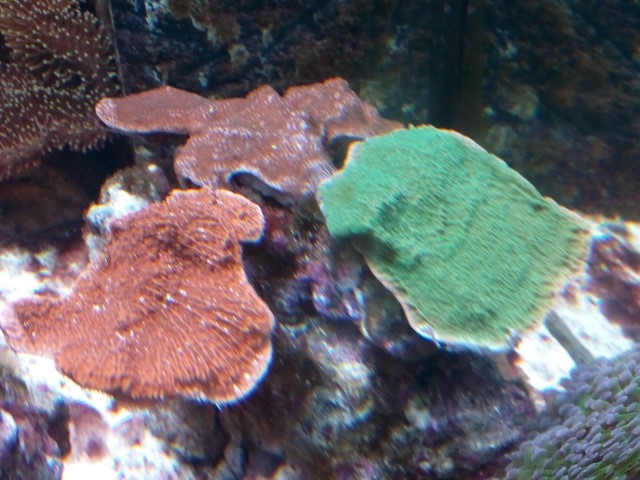 IMG 20150831 201009 (Small)