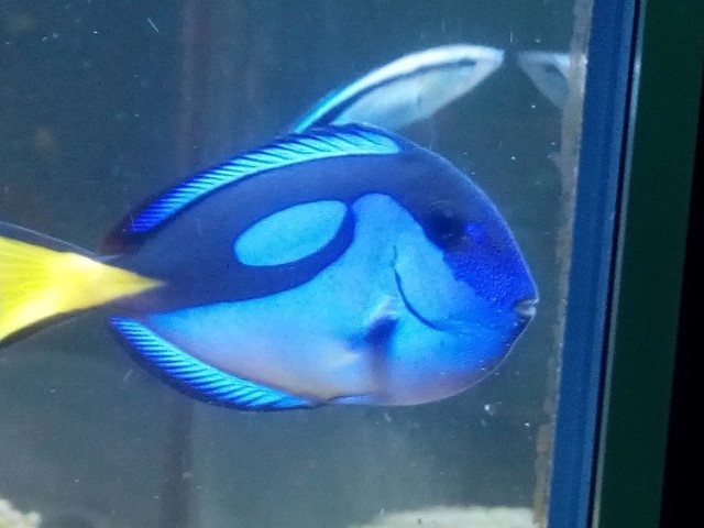 IMG 20150831 201724 (Small)