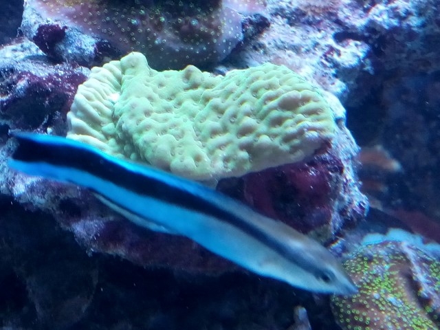 IMG 20150814 192300 (Small)