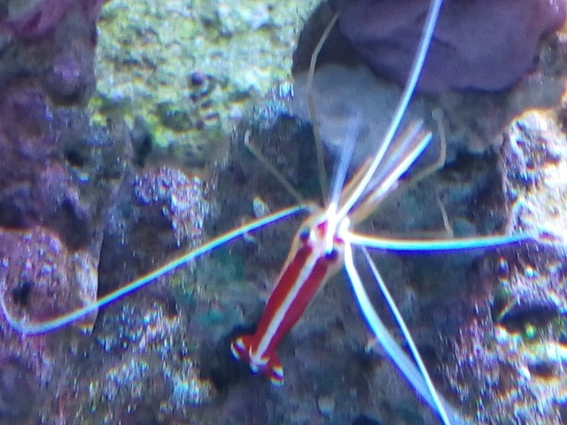 IMG 20140910 181905 (Small)