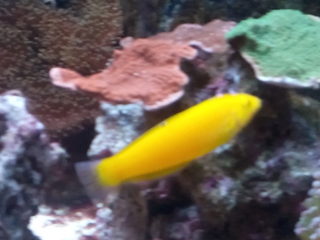 IMG 20150831 201814 (Small)