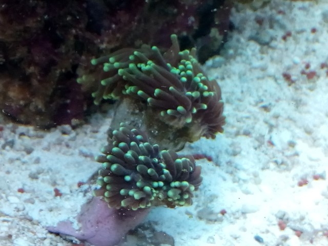 IMG 20150915 195046 (Small)