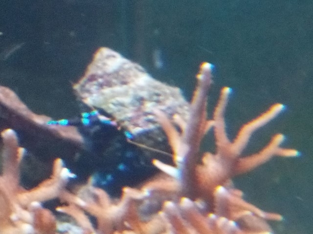 IMG 20150917 185532 (Small)