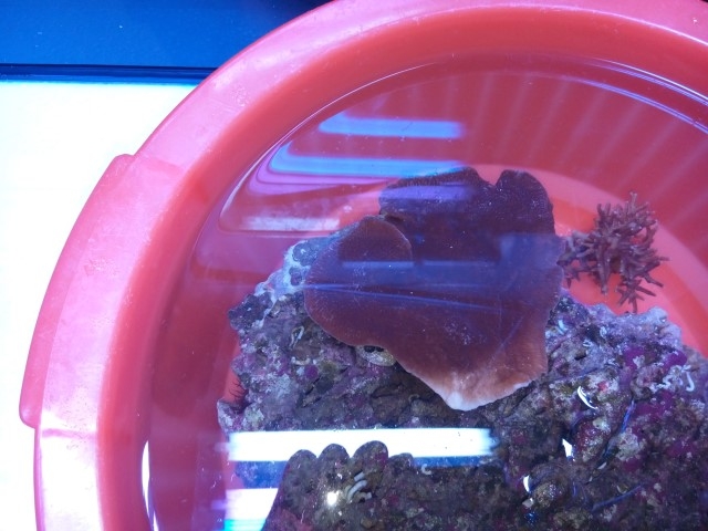 IMG 20150919 211923 (Small)