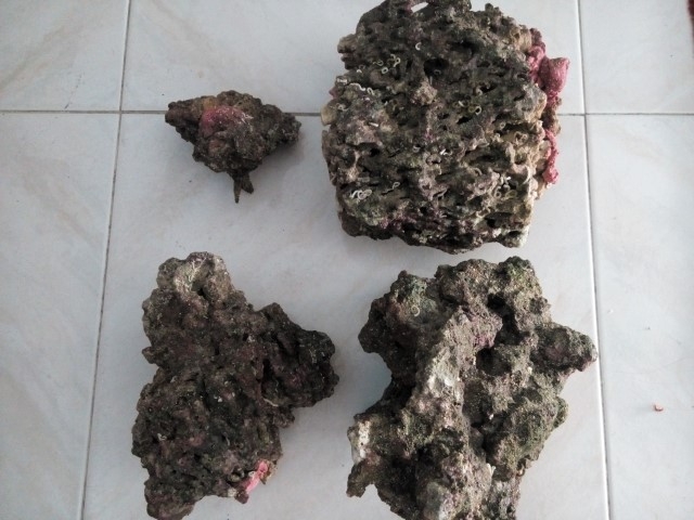 IMG 20150920 173931 (Small)