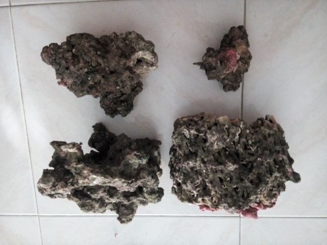 IMG 20150920 173904 (Small)