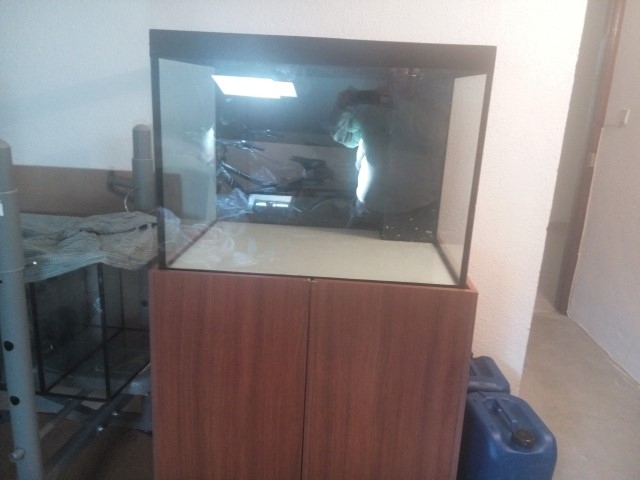 IMG 20151108 093647 (Small)