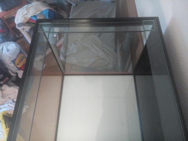 IMG 20151108 093753 (Small)