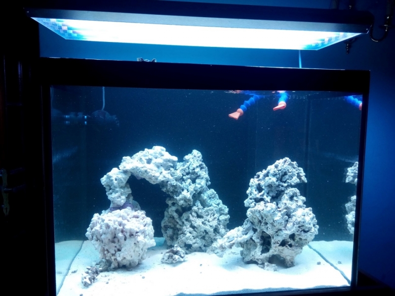 IMG 20151205 141826 (Large)