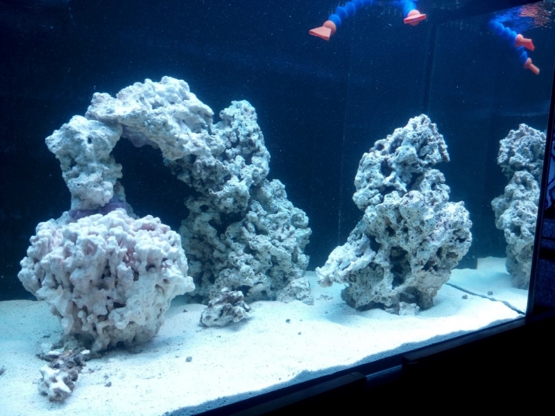 IMG 20151205 141912 (Large)