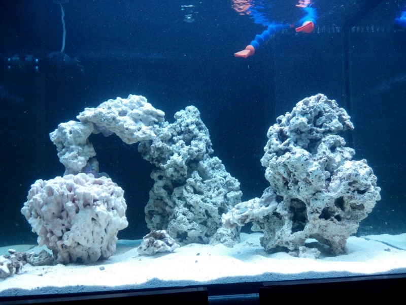 IMG 20151205 141837 (Large)