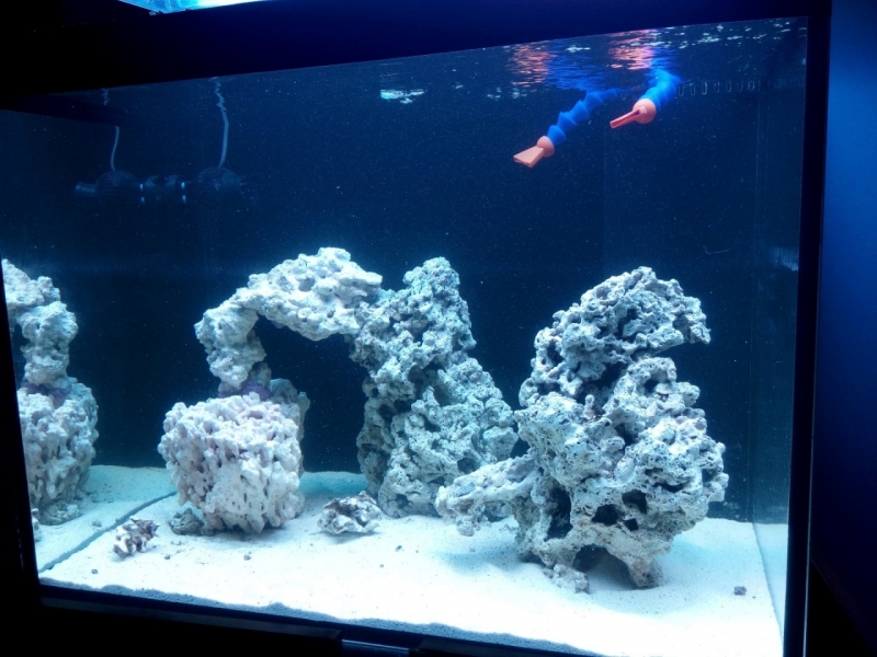 IMG 20151205 141851 (Large)