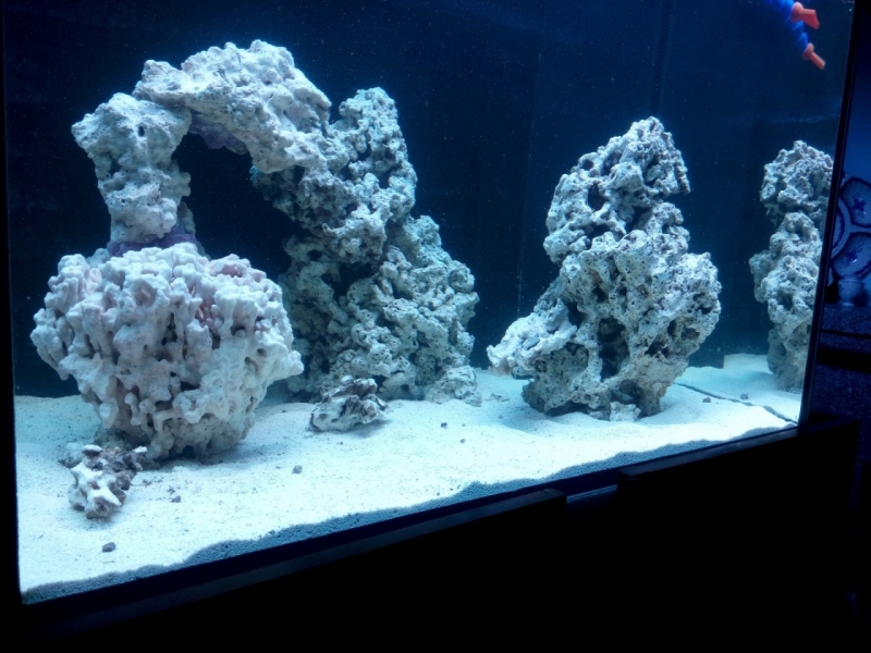 IMG 20151205 141906 (Large)